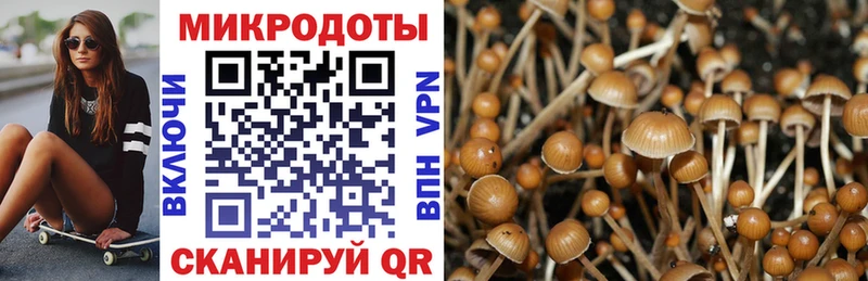 Галлюциногенные грибы Magic Shrooms  hydra ССЫЛКА  Липки  наркота 